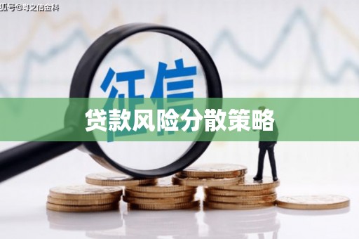 淳安贷款风险分散策略