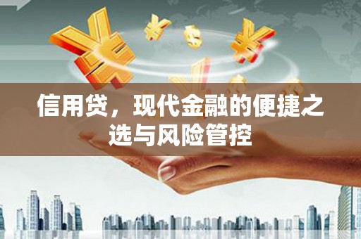 淳安信用贷，现代金融的便捷之选与风险管控