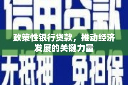 淳安政策性银行贷款，推动经济发展的关键力量