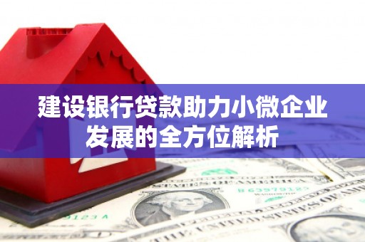 淳安建设银行贷款助力小微企业发展的全方位解析
