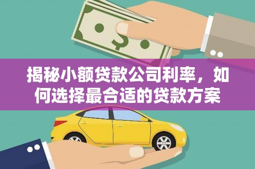 淳安揭秘小额贷款公司利率，如何选择最合适的贷款方案