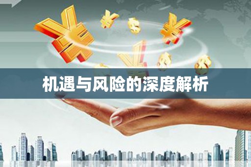 淳安机遇与风险的深度解析