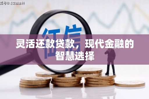 淳安灵活还款贷款，现代金融的智慧选择