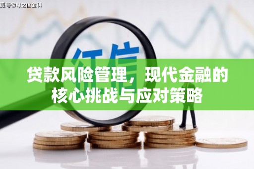 淳安贷款风险管理，现代金融的核心挑战与应对策略