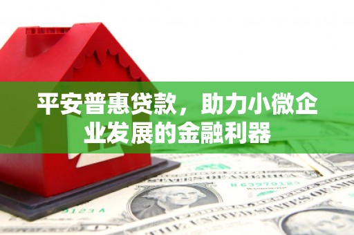 淳安平安普惠贷款，助力小微企业发展的金融利器