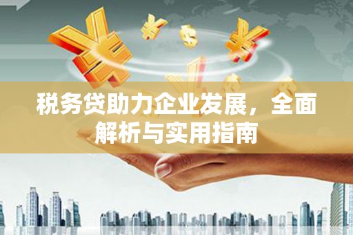 淳安税务贷助力企业发展，全面解析与实用指南