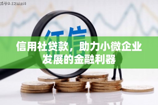 淳安信用社贷款，助力小微企业发展的金融利器