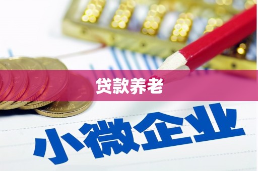 淳安贷款养老