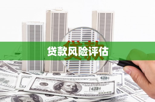 淳安贷款风险评估
