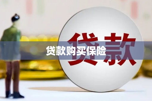 淳安贷款购买保险