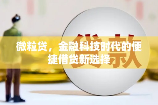淳安微粒贷，金融科技时代的便捷借贷新选择
