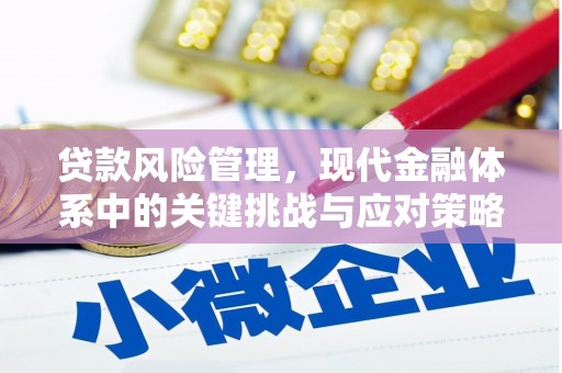 淳安贷款风险管理，现代金融体系中的关键挑战与应对策略