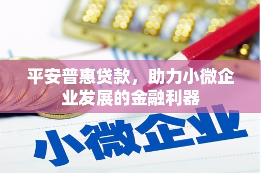 淳安平安普惠贷款，助力小微企业发展的金融利器