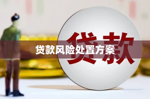 淳安贷款风险处置方案