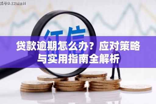 淳安贷款逾期怎么办？应对策略与实用指南全解析