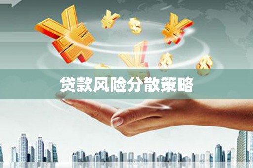 淳安贷款风险分散策略