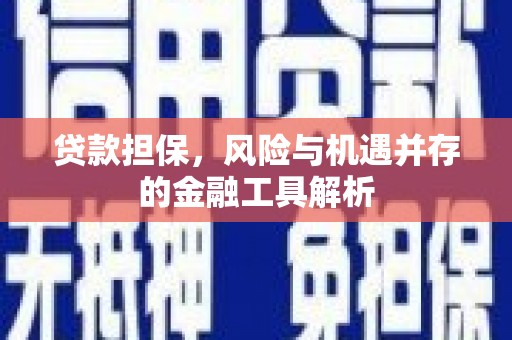 淳安贷款担保，风险与机遇并存的金融工具解析