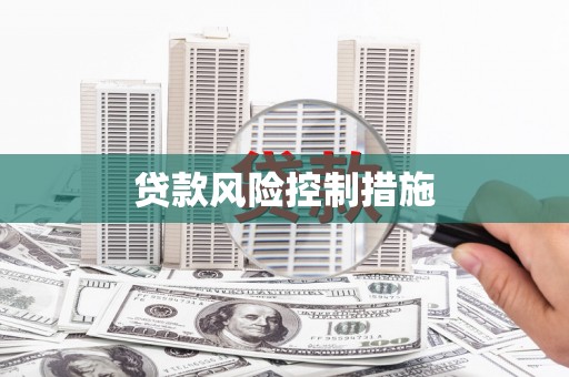 淳安贷款风险控制措施