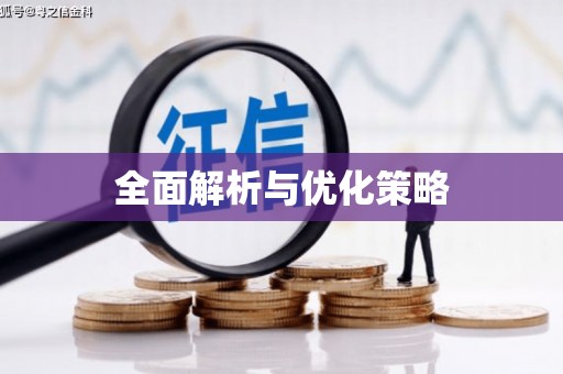 淳安全面解析与优化策略