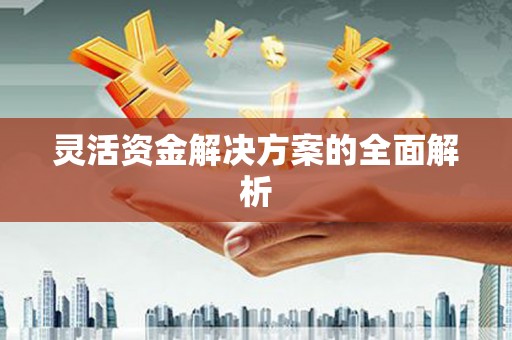 淳安灵活资金解决方案的全面解析