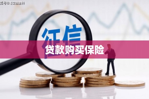 淳安贷款购买保险