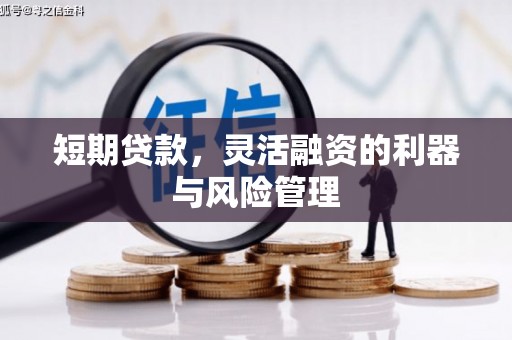 淳安短期贷款，灵活融资的利器与风险管理