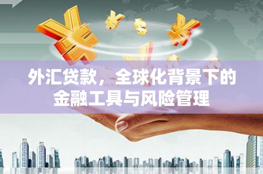 淳安外汇贷款，全球化背景下的金融工具与风险管理