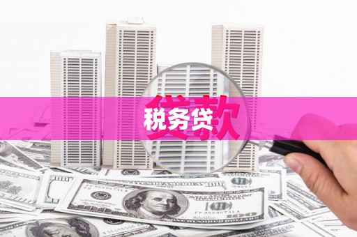 淳安税务贷